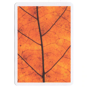 マイNOCデック：007リーフ / #MYNOC 007 Leaf by House Playing Cards